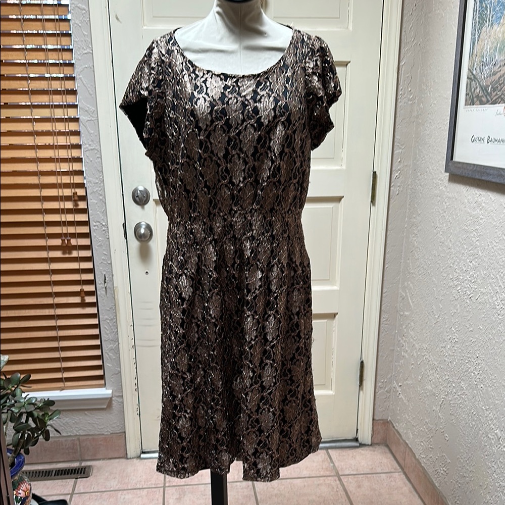 Elegant Black Lace Dress